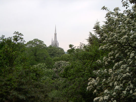 greenwich100