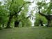 greenwich039