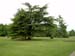 greenwich055