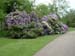 greenwich074