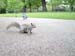 greenwich082