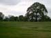 greenwich104