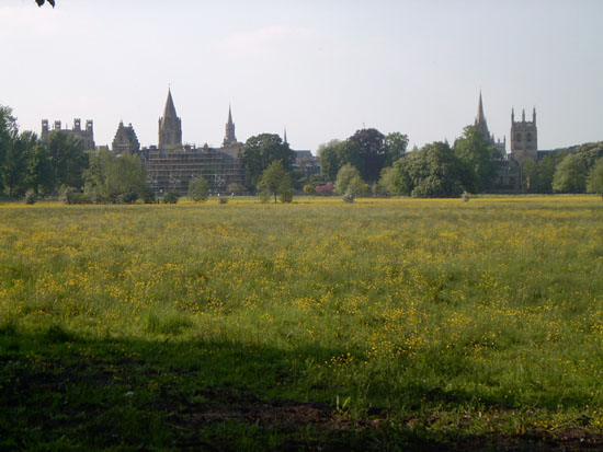 oxford117
