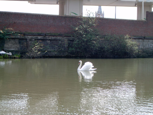 regentscanal014