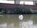 regentscanal014