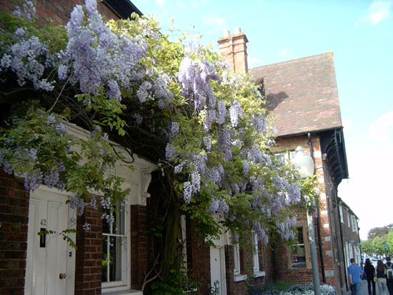 stratford123