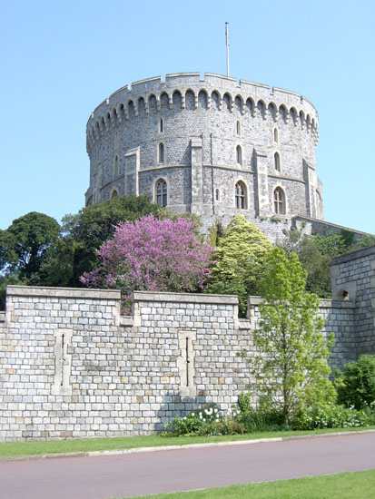 windsor016