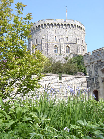 windsor024