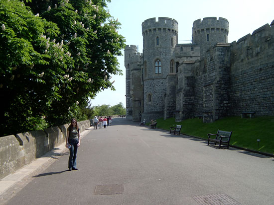 windsor040