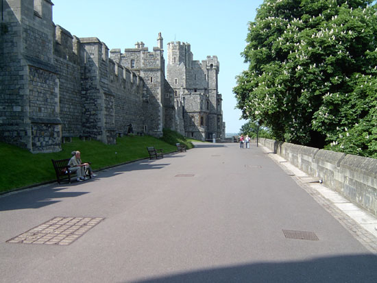 windsor042