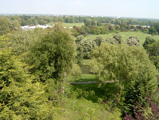 windsor043