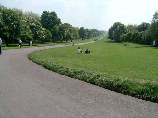 windsor079