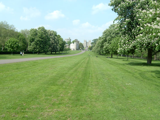 windsor092
