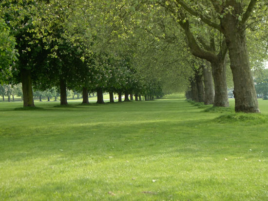 windsor098