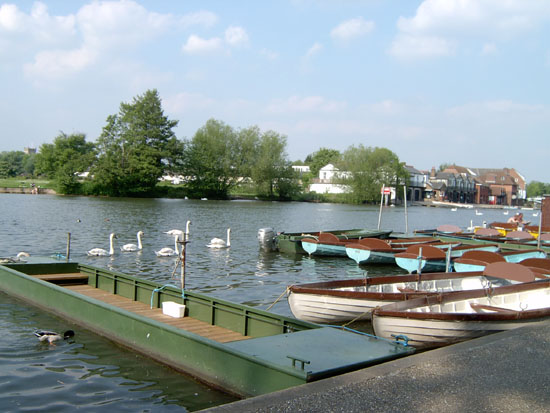 windsor116