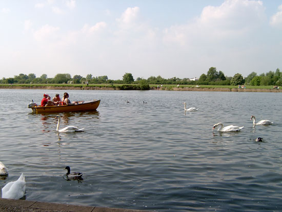 windsor117