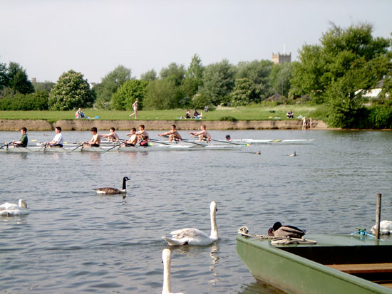 windsor130