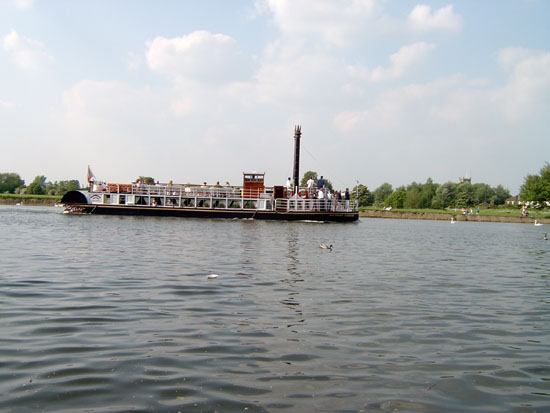 windsor135