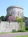 windsor016