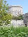 windsor024
