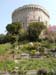 windsor032