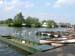 windsor116