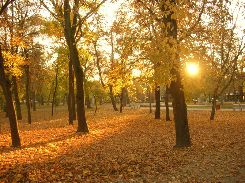 dscn7528