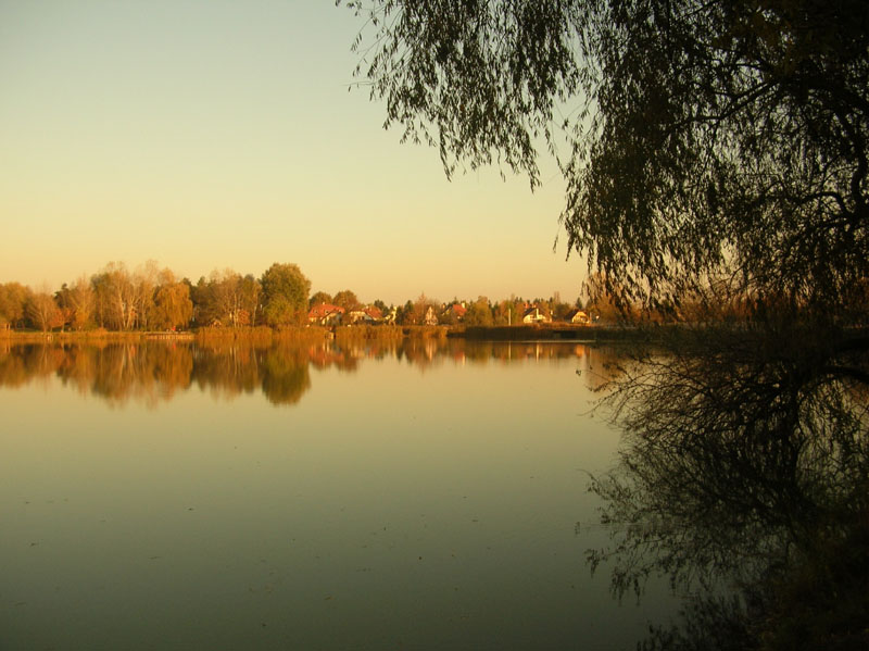 dscn7530