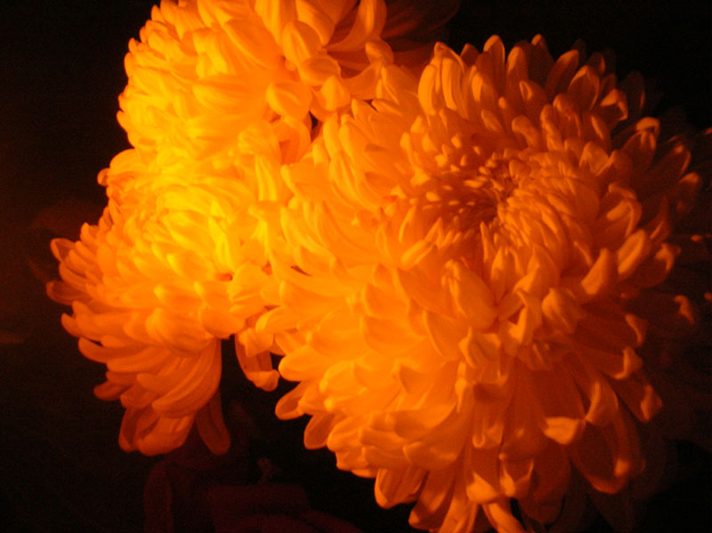 dscn7553