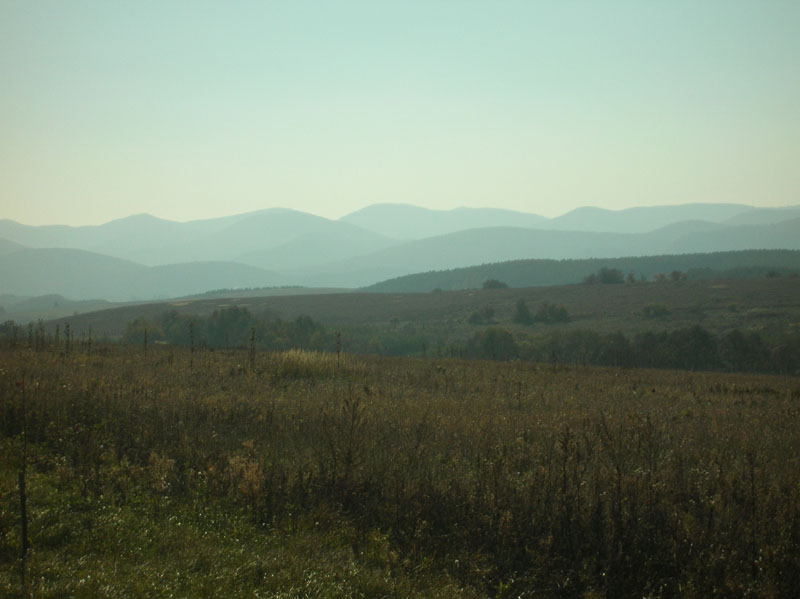 dscn7572