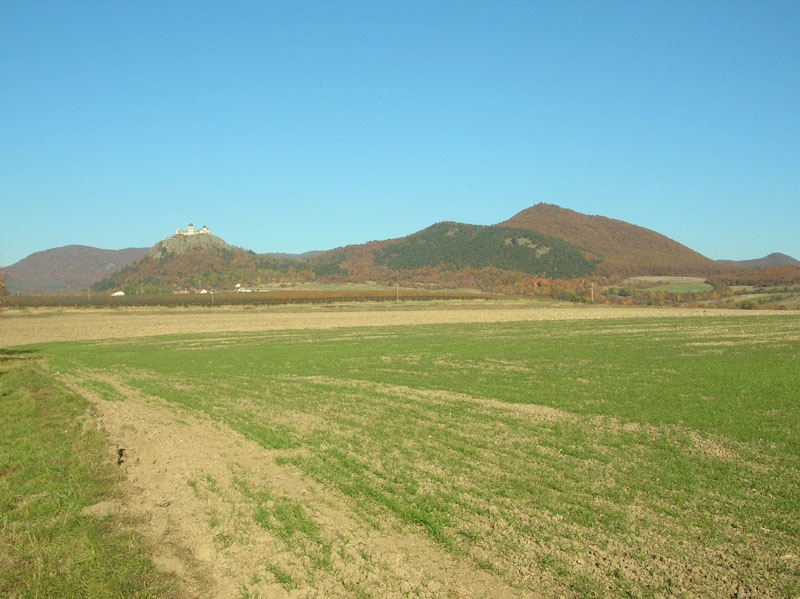 dscn7576