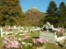 dscn7580