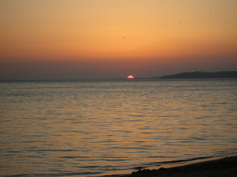 dscn6624