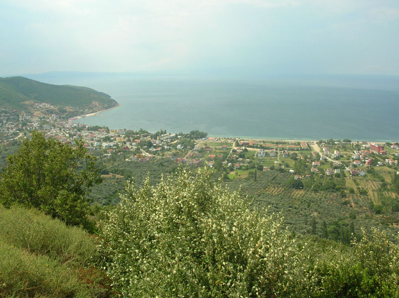 dscn6661