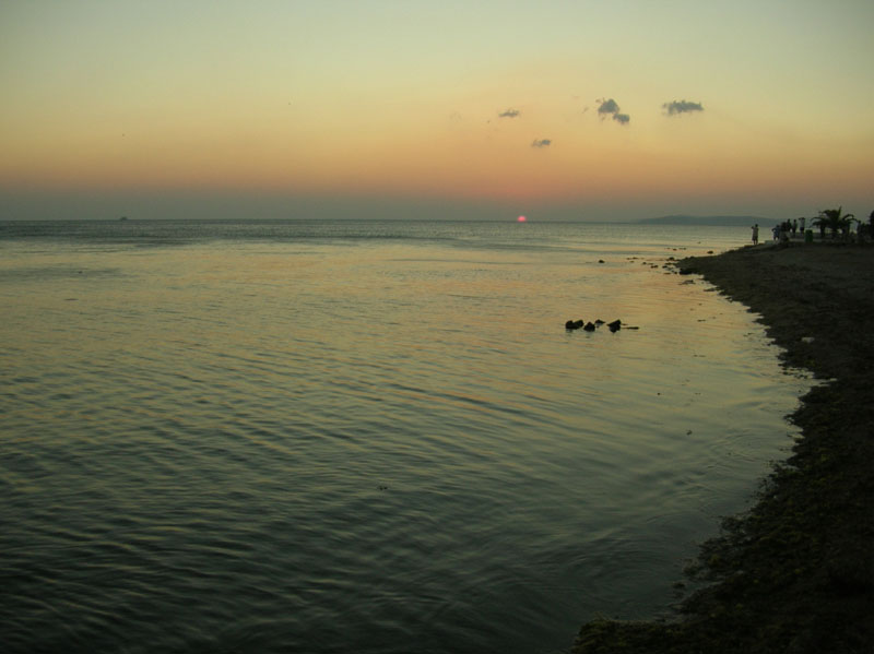 dscn6746