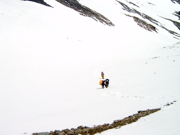 glockner_11