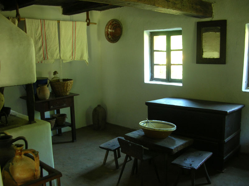 DSCN3495