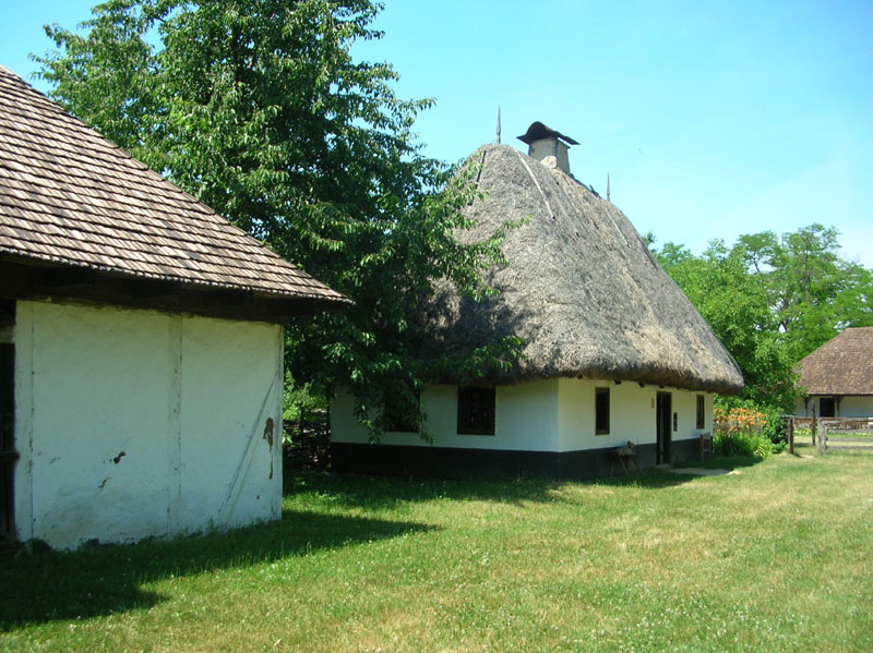 DSCN3497
