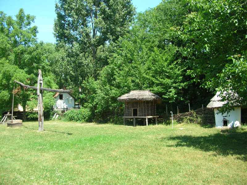 DSCN3498