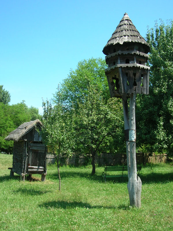 DSCN3521