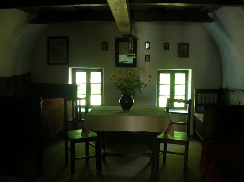DSCN3523