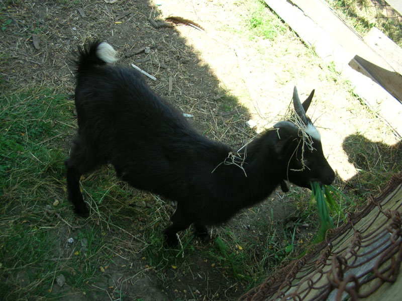 DSCN3552