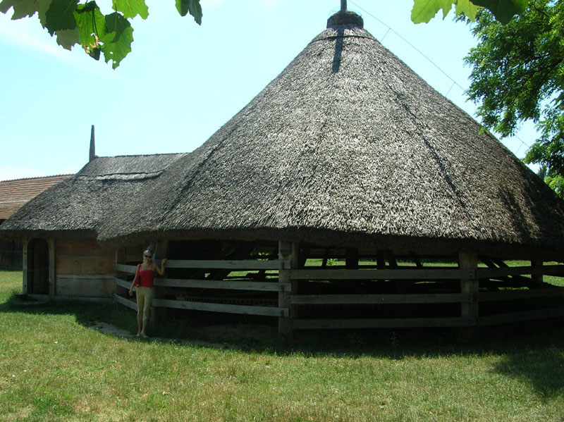 DSCN3566