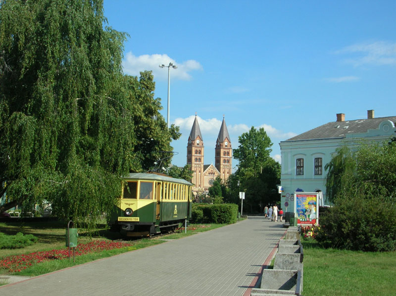 DSCN3666