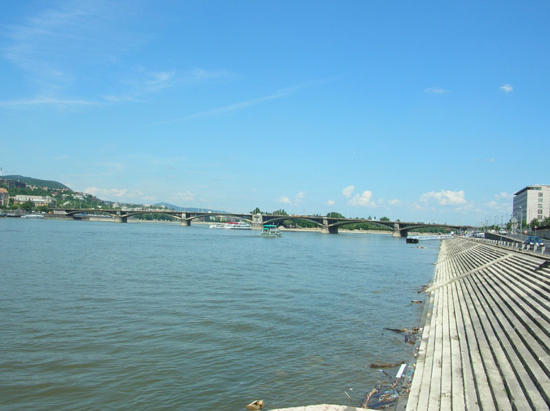 DSCN3769