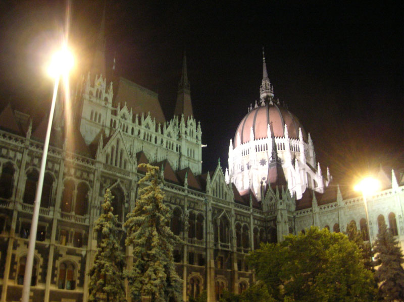 DSCN4238