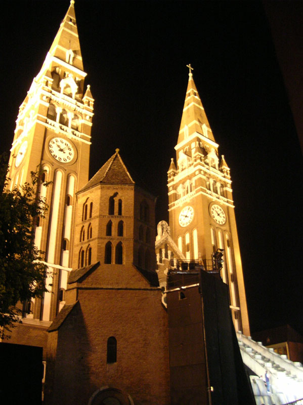 DSCN4446