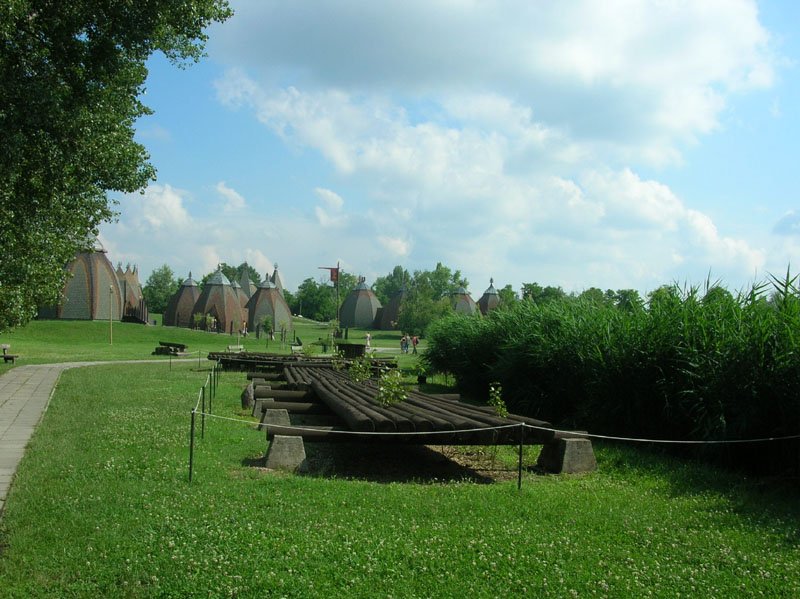 DSCN4493