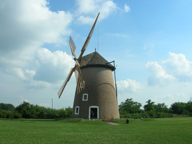 DSCN4502