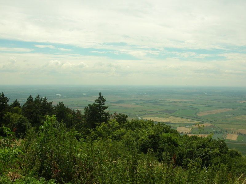 DSCN4672